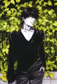 BUY NEW wild adapter - 84948 Premium Anime Print Poster